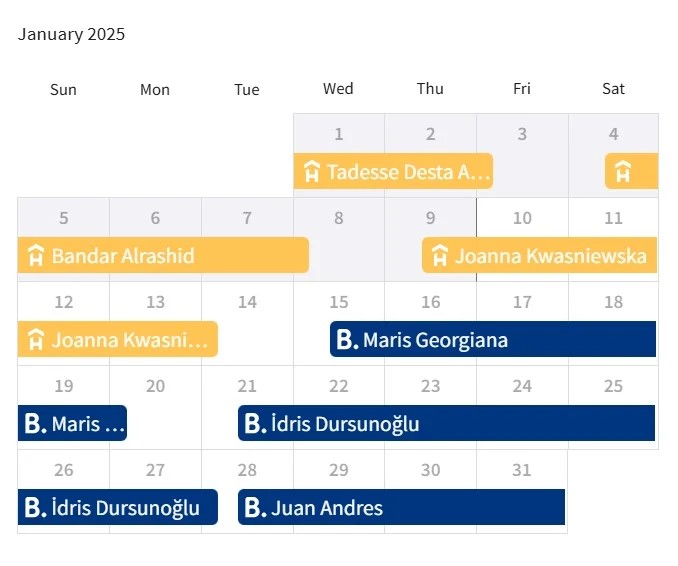 interactive calendar showing available and booked dates for holiday home rentals in Dubai user portal.