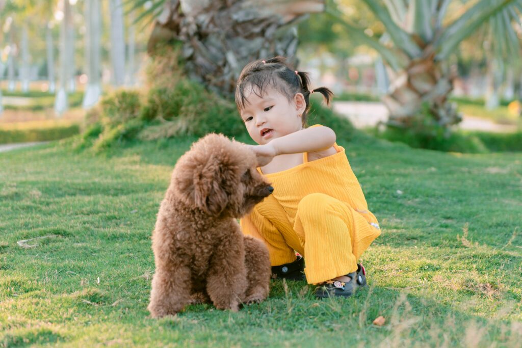 Family and pet-friendly villa in Sharjah with secure garden space for play and freedom
