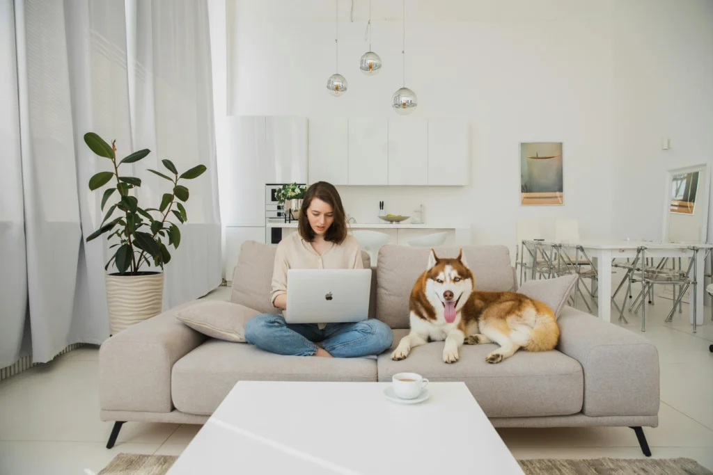 Dog sitting on sofa in Dubai apartment