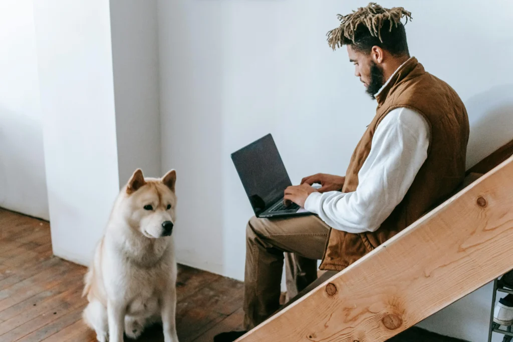Pet policy in Dubai apartment